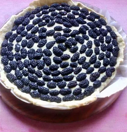 Il Rifugio Capo Comino Vakantieboerderij *