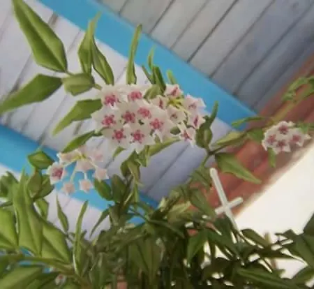 Bauernhof Il Rifugio Capo Comino *