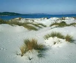 Il Rifugio Capo Comino Фермерский дом