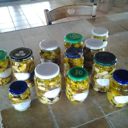 Il Rifugio Capo Comino * Синискола